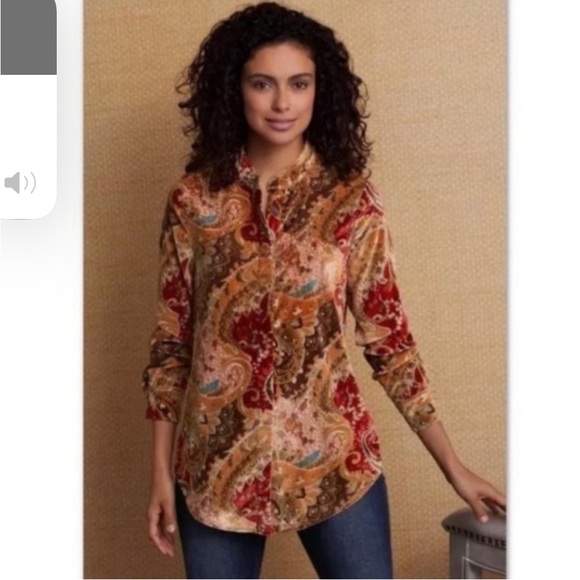 Soft Surroundings Bronze Montaigne Floral Paisley Velvet Button Down PL - Picture 4 of 12